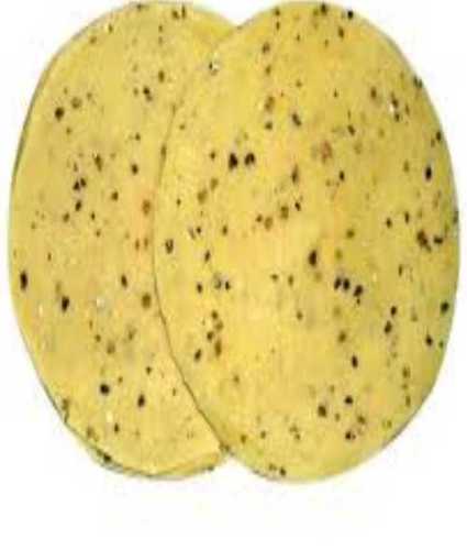 Light Yellow Delicious Taste Salt Papad