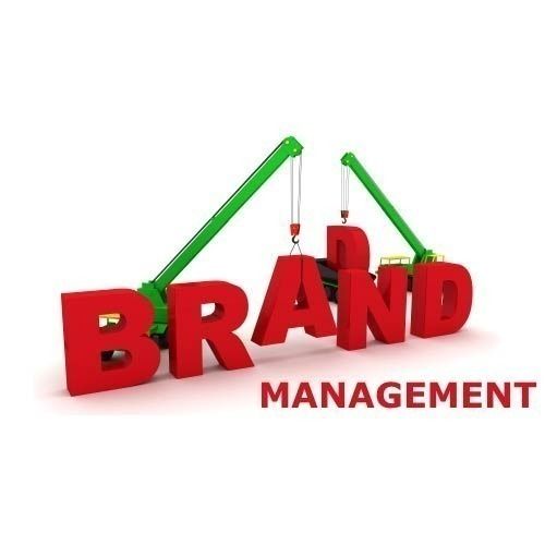 Brand Management Service - Customizable Strategies and Resources for Effective Promotion, Elevate Your Brand Presence in Any Color