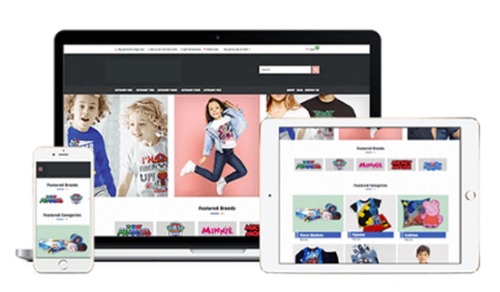 E Commerce And Software Service