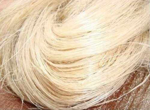 Natural Agroban Banana Fiber