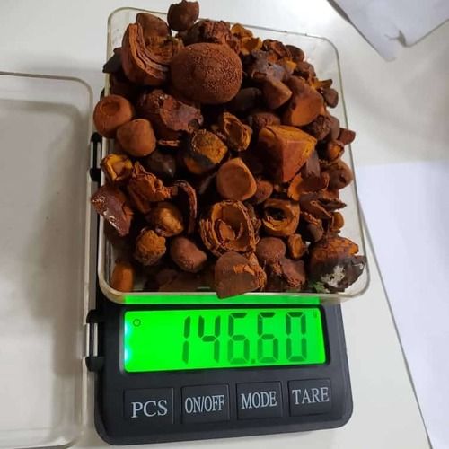 Natural Whole Ox Gallstones