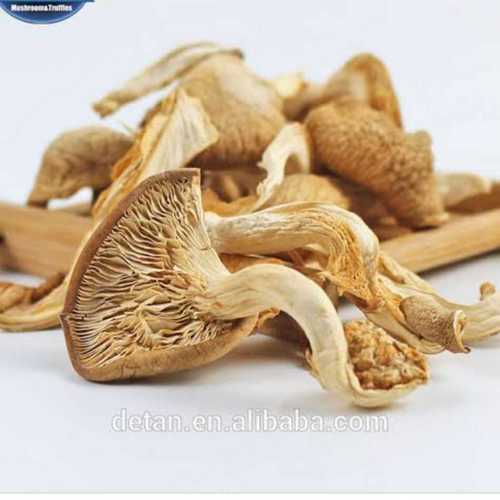 Pure Organic Dried Oyster Mushroom