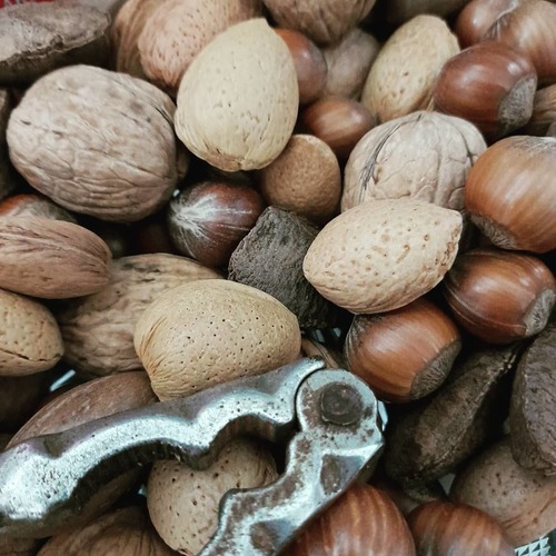 Brown Raw Organic Brazil Nut at Best Price in Komarapalayam