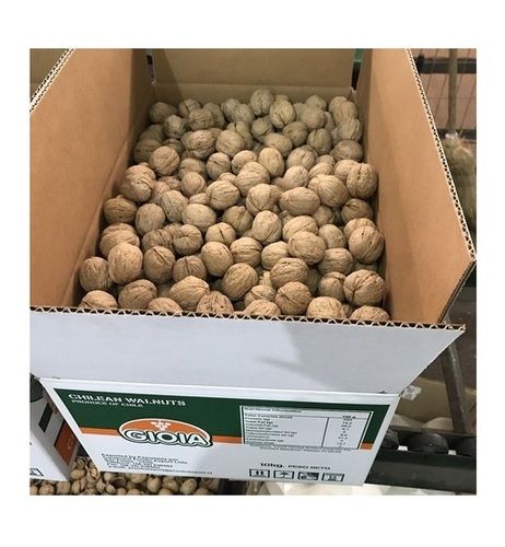 Natural Dry Fruit Walnuts In Shell