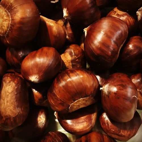 Organic Fresh and Dry Chestnut By Stampanti Tradings
