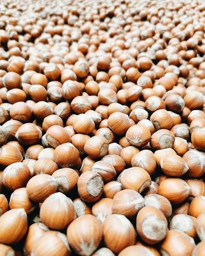 Brown Organic Hazelnut Kernels In Shell