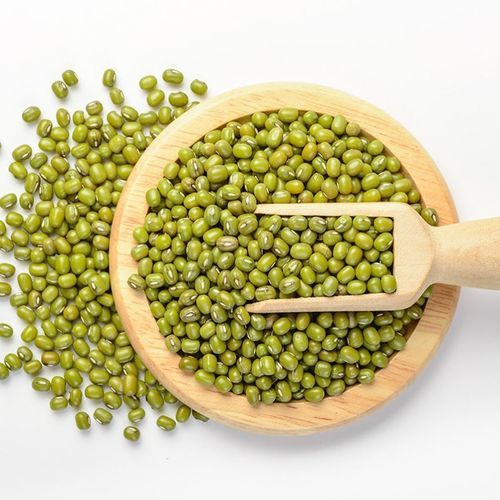 Premium Quality Green Mung Beans Medium Grains