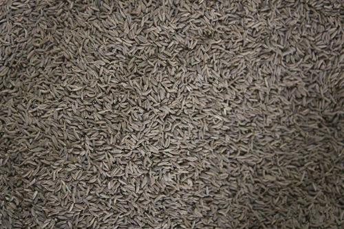 Organic Black Cumin Seeds Grade: A