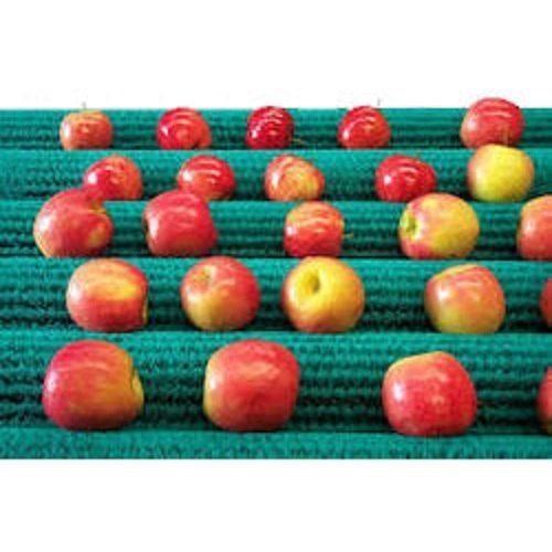 Green Industrial Fruit Polishing Brush