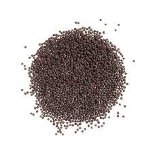 A Grade Red Mustard Seed Grade: A-Grade