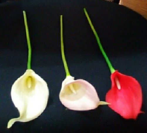 Durable Calla Lily Small Artificial Flower