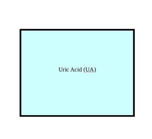 Uric Acid (Ua)