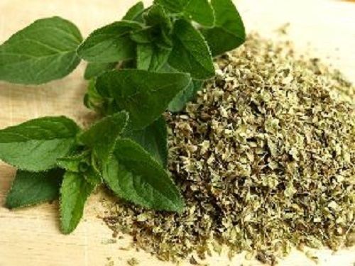 Dried Green Oregano Leaves Grade: A