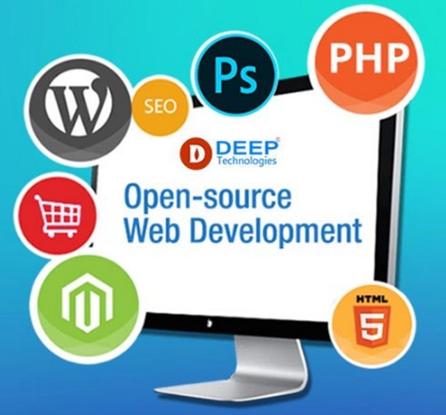 Dynamic Development Services