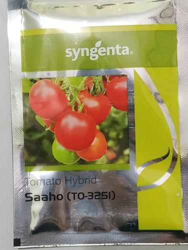 Saaho TO-3251 Tomato Seeds