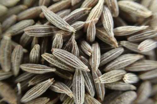 Good Taste Cumin Seeds