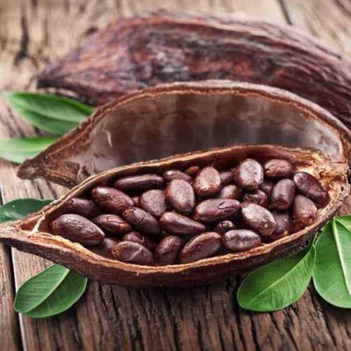 Brown High Nutritional Coco Seeds