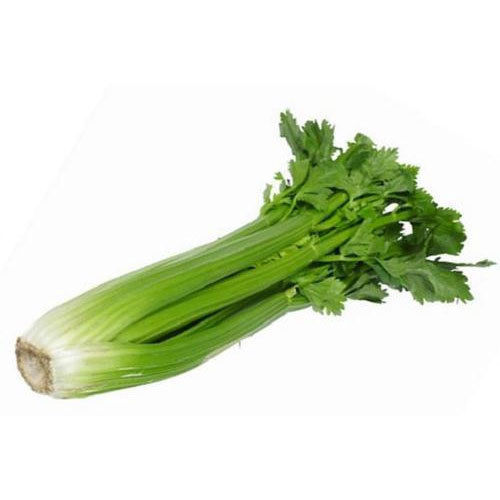 Organic Farm Fresh Celery