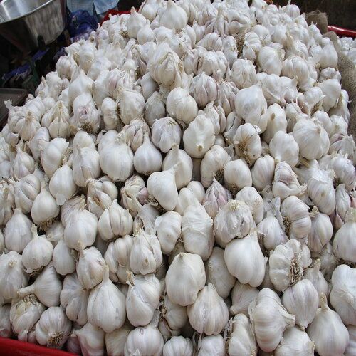 Natural Highly Effective Organic Garlic