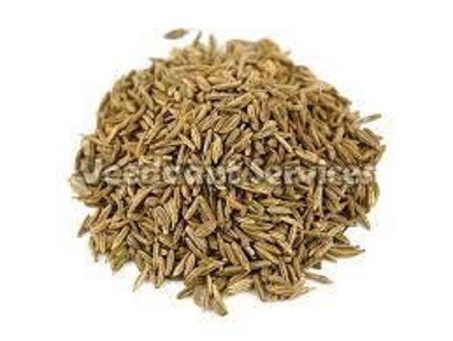 Brown Natural Caraway Seeds