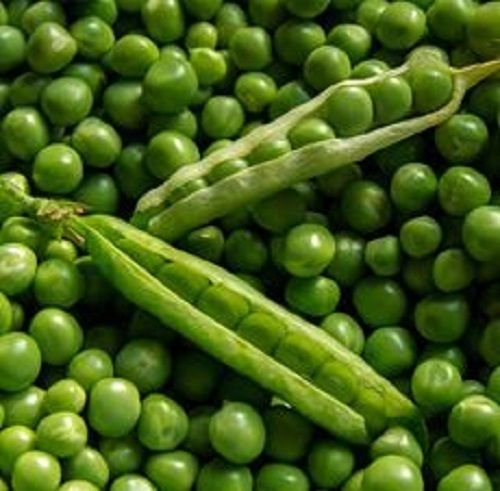 Natural Fresh Green Peas