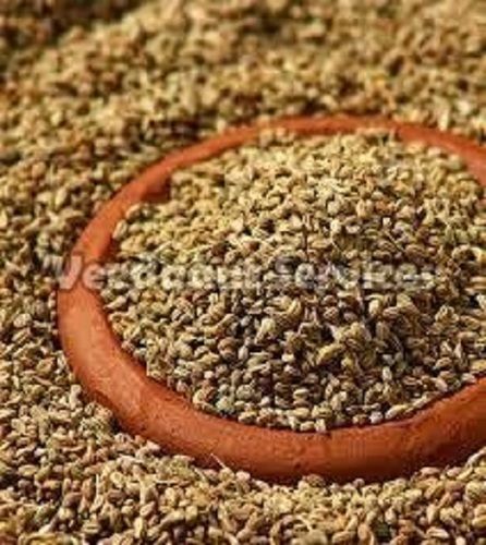 Indian Origin Carom Seed