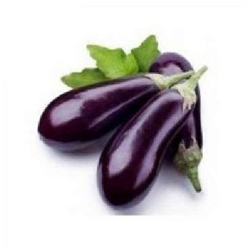 Indian Origin Fresh Brinjal - Vitamin C 3%, Iron 1%, Vitamin B 65%, Magnesium 3% | Natural Shape, Raw Processing Form, Seasoned Style, Low-Calorie