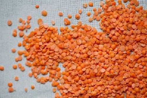 Rich Protein Red Lentils