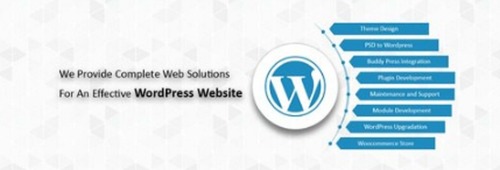 WordPress Development Services