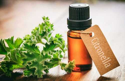 Citronella Essential Virgin Oil