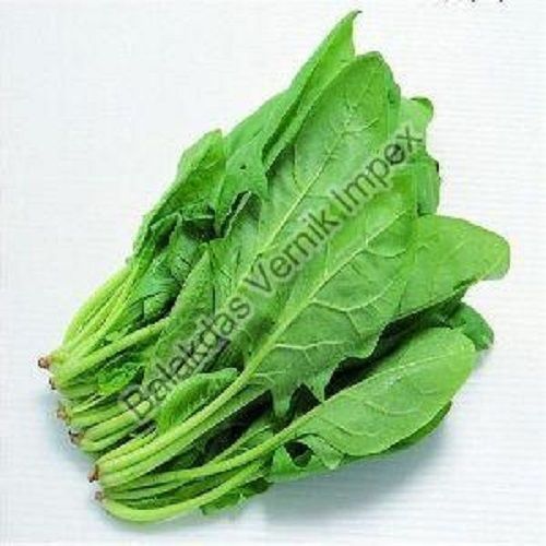 Green Fresh Spinach Leaves