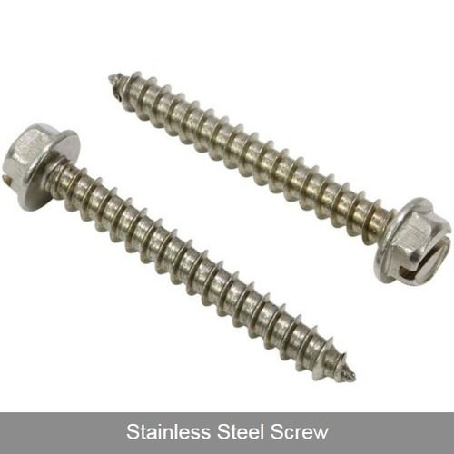 Polished Stainless Steel Screw