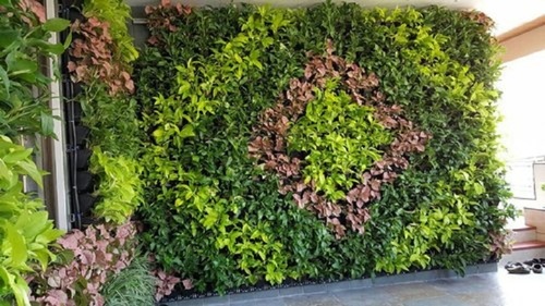 Green Wall Vertical Garden And Landscaping Service