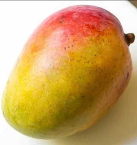 Delicious Sweet Malda Mango