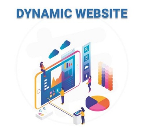 Dynamic Development - Responsive, User-Friendly Design | 24x7 Support, Customized Features in English and Hindi