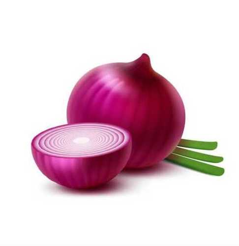 Fresh Red Round Onion