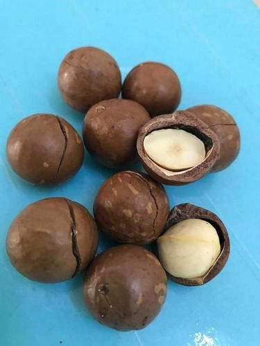 High Grade Maccadamia Nuts