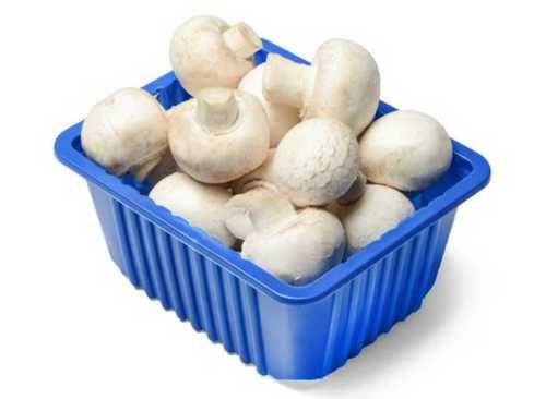 Button Mushroom - 200 Gms A-Grade Whole, White Dried | Cultivated Quality, Non Imported, Made in India