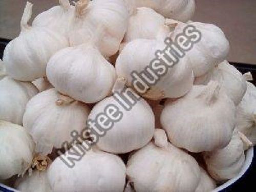 Natural Organic Fresh White Garlic