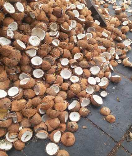 Yellow Wholesale Price Semi Husked Coconut