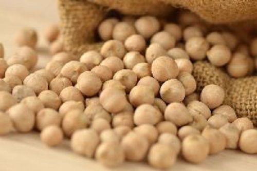 Highly Nutritious White Chickpeas Origin: Indian