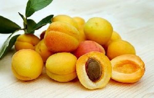 Rich Taste Organic Fresh Apricot Origin: Indian