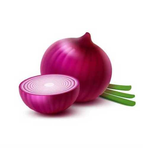 Custom Size Fresh Red Onion 