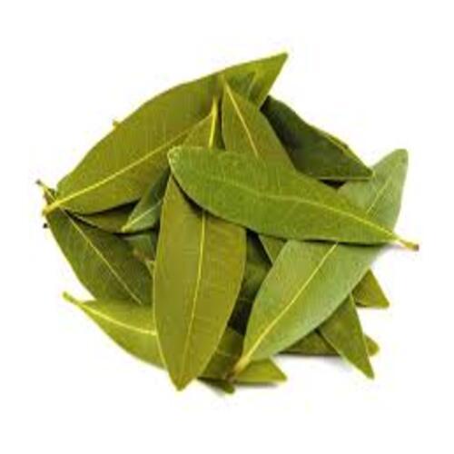 Healthy And Natural Green Bay Leaves