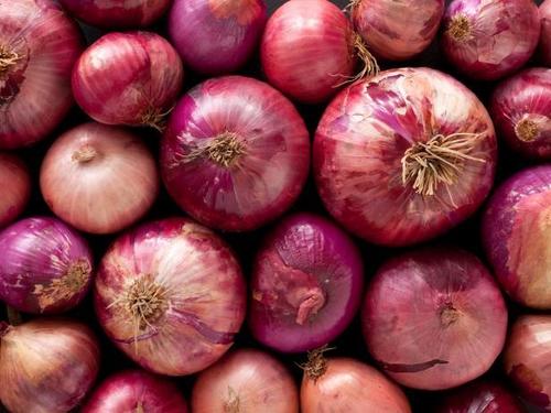 Fresh Red Round Onion