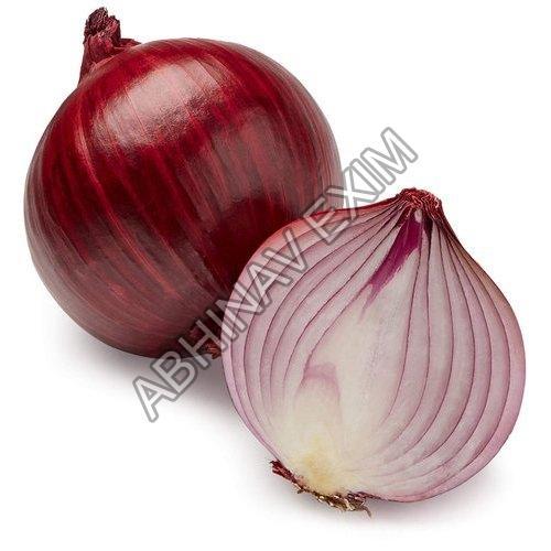 Healthy and Natural Fresh Onion