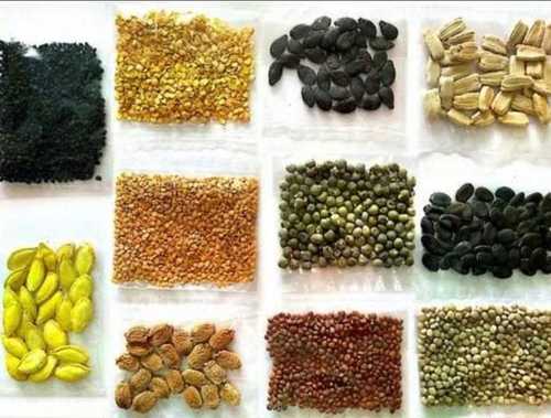 Various Vegetable Seeds In Plastic Pouch