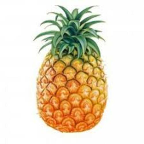 Organic Healthy And Natural Fresh Pineapple