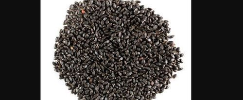 Organic Black Basil Seed