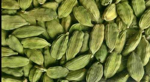 Fresh Green Cardamom 8 Mm